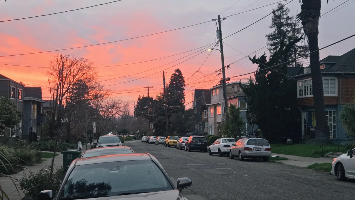 A Berkeley residential street under a pink and orange sunset